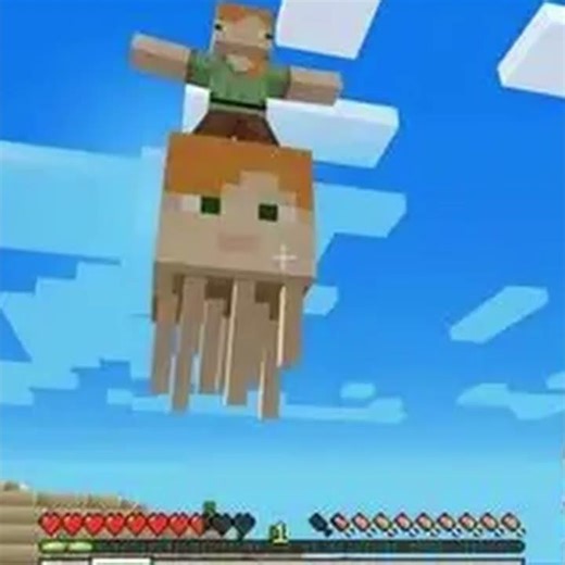 Minecraft Cursed Images Pt. 4