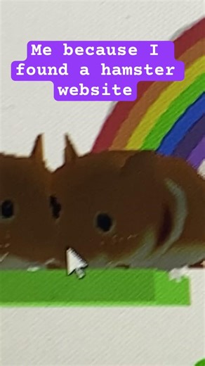 it’s called hammy home
