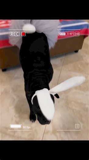 2.1K views · 54 reactions | The shelter is open #EasterSunday and we...