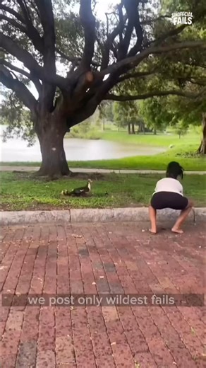 The Sarcastic Onion on Instagram: "When you press ‘skip tutorial’ in real life  #EpicFail #FailOfTheDay #InstantRegret #FunnyMoments #OopsMoment #ComedyGold"