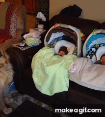 Babies on Make a GIF