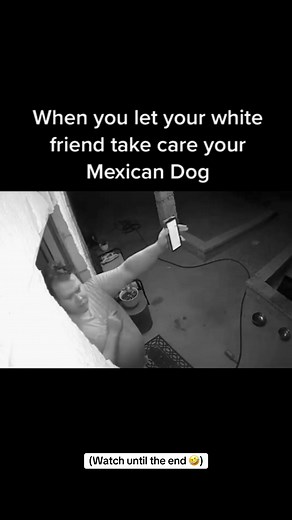 A for effort 😂 #latinopet #dog #cat #latino