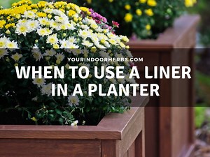 Should You Use a Liner in a Planter? | Your Indoor Herbs and Garden