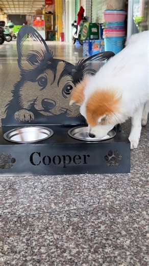 🏠 Built for Pets, Made by Hand This sleek DIY pet bowl stand keeps your furry friend happy — and your space clean. Cut, welded, and finished with love using the xTool MetalFab. Because great design isn’t just for humans. 🐶🐾 👉 Tap the link to learn more about xTool Metalfab: https://social.xtool.com/4muYGnf #xTool #xToolMetalFab #LaserCutting #CNCcutting #LaserWelding #PetLovers #DIYProject #ModernPetHome #PetFurniture #Metalworking #CNCArt #DIYPetStand #MakerLife #WeldingProject #FurBabyAppr