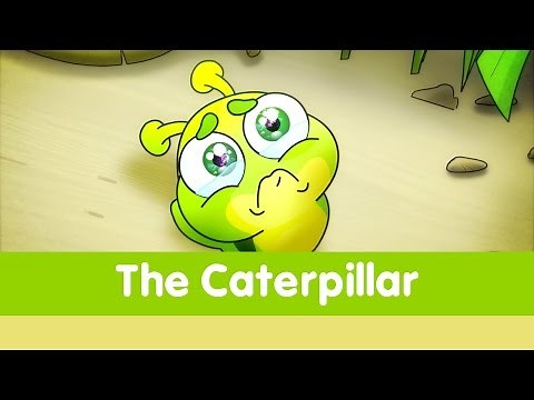 The Caterpillar - Toyor Baby English