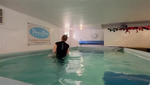 24 reactions | We had the gorgeous English Setter, Spotty in for her rehab session this afternoon. First English Setter we’ve had in 9 years! | Pawsome Paddles Hydrotherapy Centre | Facebook