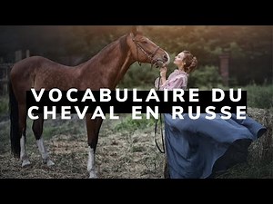 Vocabulaire du cheval en russe 🐎Apprendre le russe avec Ania