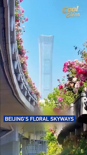 Beijing's floral skyways #coolchina