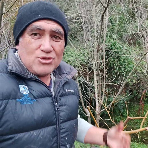 Composting ♻️ . These plastic compost bins have been really useful at our place. They do not take up much space which means they can be located out of the way, but still easy to get to everyday. Having two works well because I alternate between each bin. One week I will add stuff to one then to the other. Plus we have other compost piles around the garden for lawn clippings etc. 👨🏻‍🌾 #communityofgardeners #maramataka #growingkaibythemoon #maramatakamaori #gardeningbythemoon #lunargardening #m