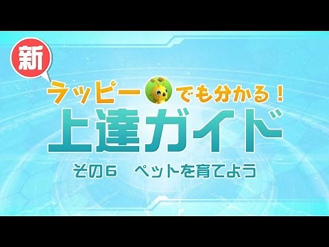 新・ラッピーでもわかる！『PSO2』上達ガイド その６・ペットを育てよう