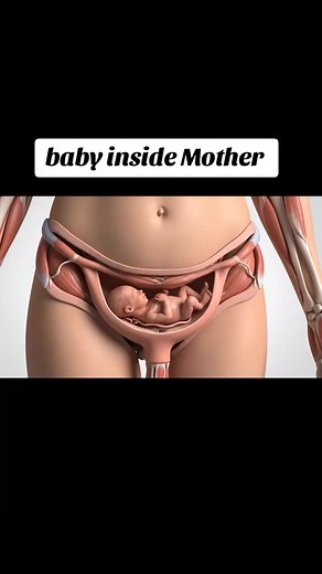 Understanding Fetal Development: Baby Inside Mother