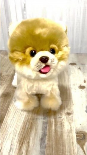 SUPER CUTE REALISTIC TOY DOG THAT WALKS, BARKS, COOS, LICKS TONGUE AND REPEAT WORDS! #giftideas