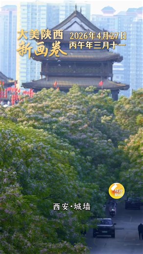 【大美陕西新画卷】城墙边的苦楝花，总开得悄无声息，不像大唐牡丹那般艳冠全城，却自有它的章法：春末才醒，入夏才盛，把一整个春天的沉淀，都酿成这满枝淡紫的从容。#Shaanxi #China