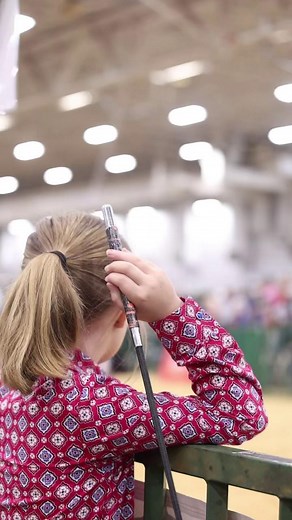 The #MoreThanAShowpig moments of 2025 will be more than just a memory. They're a reminder of why we will continue to show up each and every day in the new year. Happy New Year #showpigfamily! We look forward to a bringing you MORE of what makes this industry about #morethanashowpig!