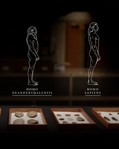 1.7M views · 798 reactions | Sir David Attenborough investigates with a museum curator and paleoanthropologist how Neanderthals thrived 200,000 years ago in what is now Great Britain. Watch "Great Mammoth Mystery" tonight at 9/8c on PBS to learn more: https://to.pbs.org/3GUyxIz | NOVA l PBS | Facebook