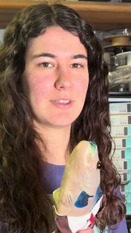 I made SpongeBob’s breaking news fish IRL!