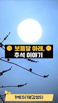 🌕보름달 아래🌕추석 이야기
