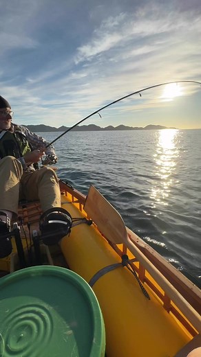 3.4K views · 39 reactions | I love catching triggerfish because they...