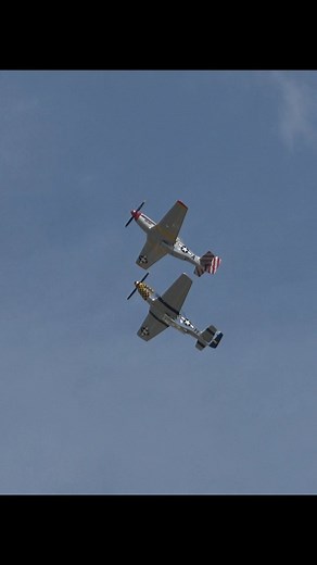 116 reactions | The legendary P-51 Mustang — sleek, fast, and...