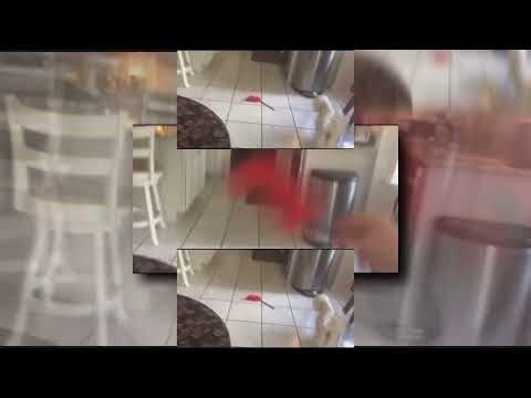 (YTPMV) Furby furb scan (Thekantapapa)