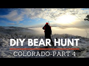 DIY COLORADO BLACK BEAR HUNT (FALL SPOT AND STALK) PART 4