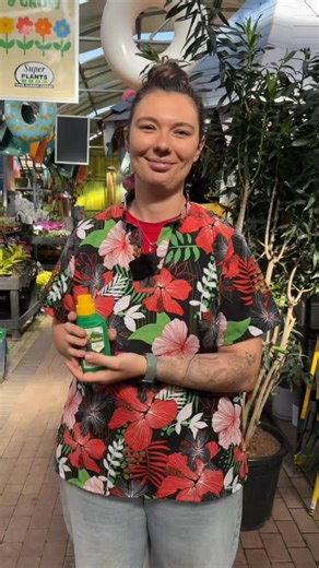 Super Plants Tokai on Instagram: "Feeding your plants the right way 🌱 Here’s how to fertilise your plants step by step."