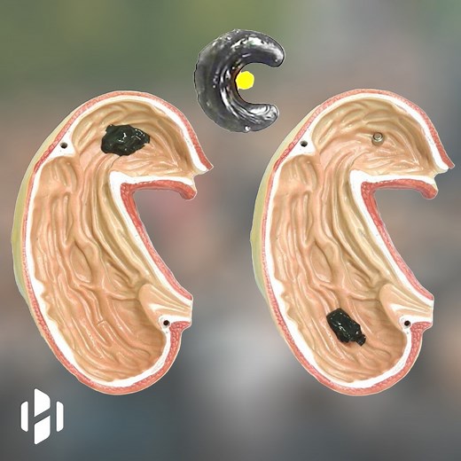 Magnetic slime robot could someday save your life. | Hashem Al-Ghaili