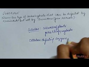 Name the type of carbohydrate that can be digested by ruminants but not by humans. Give the reas...