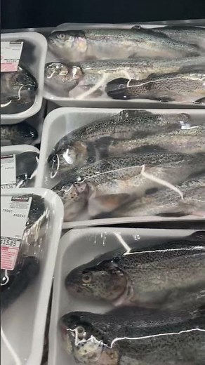 Discovering Fresh Whole Trout at COSTCO #costco