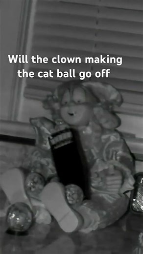 Well, making the cat ball go off #ghostlyadventures ￼