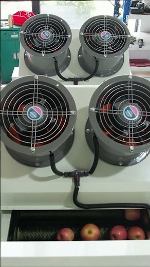 Appple washing grading machines,mini apple sorting machine,small fruit sorter,automatic grader