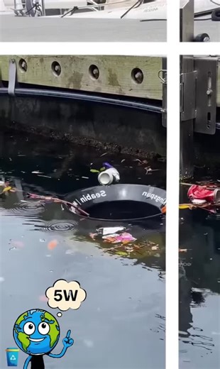 5 W QUESTIONS | EDUCATION on TikTok