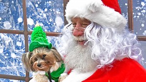 Where is Santa right now? How to use NORAD's Santa tracker this Christmas