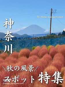 秋の神奈川おすすめスポット6選｜紅葉・彼岸花・キャンドルイベント情報