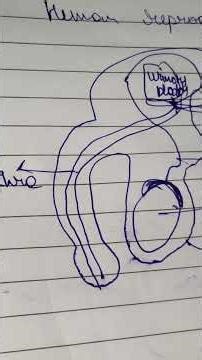 class 10 boards how do organisms reproduce male reproductive system