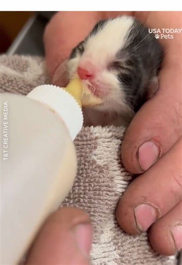 Acts of Kindness on National Good Samaritan Day