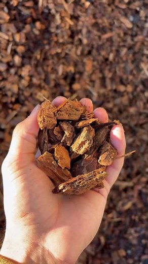 ‘‘Tis the season for a yard and driveway refresh! We have over 40 bulk materials that are tailored to fit your need! Even better, we deliver! Call today to find the perfect soil, mulch, aggregate or plant! See you soon! | Songbird Landscape Supply