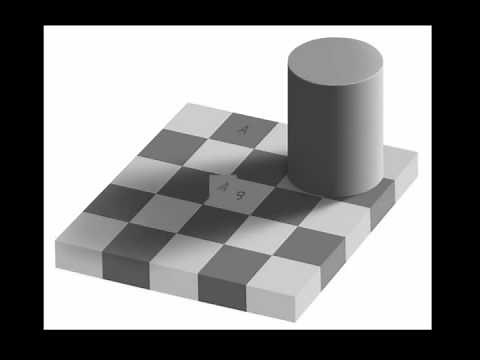 The chessboard experiment