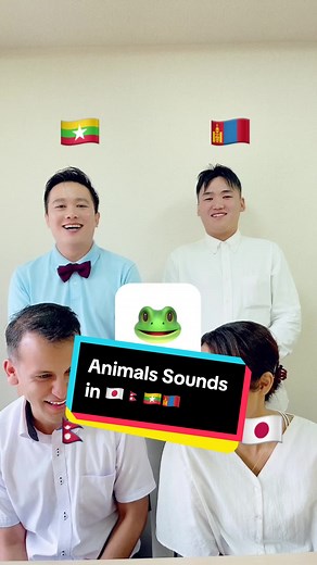 ライオンの鳴き声 - 動物コレクションの面白い音声 #animals #sound #lion #鳴き声 #動物コレクション