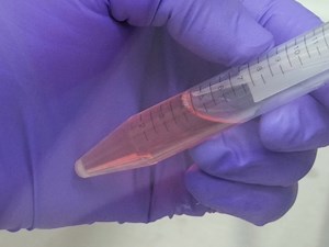 Developing HiPSC Derived Serum Free Embryoid Bodies for the Interrogation of 3-D Stem Cell Cultures Using Physiologically Relevant Assays