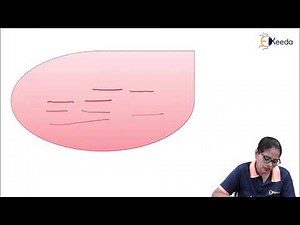 DVMRP ( Distance Vector Multicast Routing Protocol )