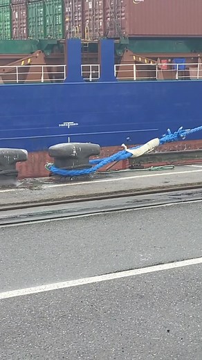 Antaggern: Leben im Hamburger Hafen