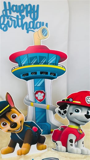 Paw Patrol Birthday Party Combo