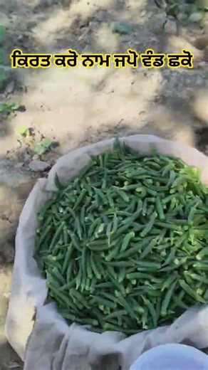 ਕਿਰਤ ਕਰੋ ਨਾਮ ਜਪੋ ਵੰਡ ਛਕੋ #trending #youtube #farming #farmer #kheti #punjabi #sikh #khalsa #nihang