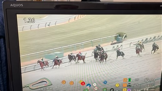 山本 茂樹 | 1月4日京都9R、天ヶ瀬特別(4歳以上2勝クラス)ダ1800mにジーワンTCの出資馬グランドプラージュが6枠9番、川田騎手で出走、単勝1.3倍の1番人気でした、 . レースではスタート直後8番の馬が左に寄れて2度ぶつけられ後方3番手からのレース運びに、 .... | Instagram