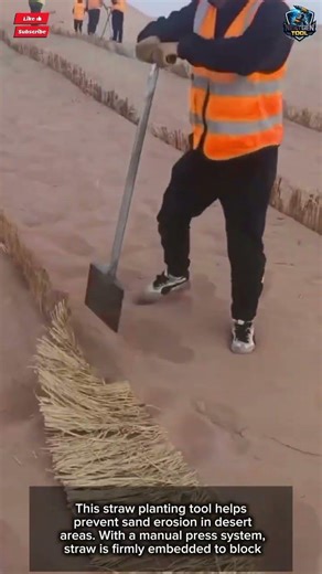 Straw Planting Tool Prevents Sand Erosion Desert Project#tool