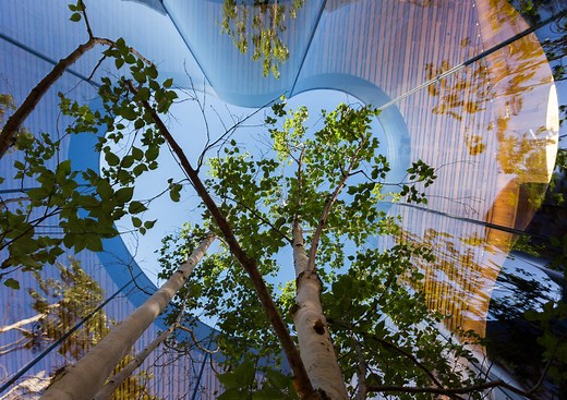 Maggie’s Oldham | dRMM Architects