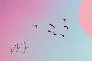 How to Grow on Twitter in 2022