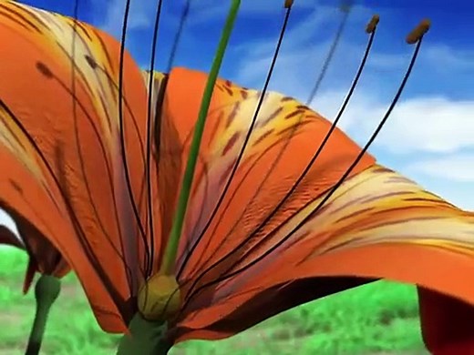 Double fertilisation in angiosperm with the 3D animation movie - video Dailymotion