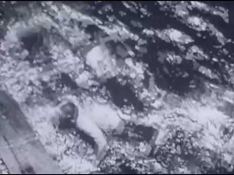 The Battleships - Terror from Above